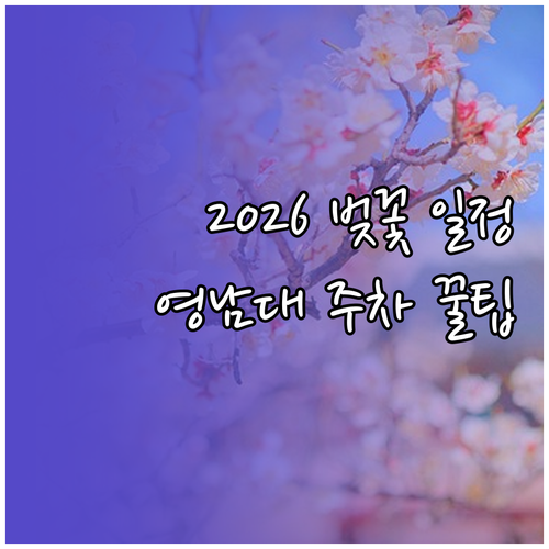2026 경산 벚꽃 축제 일정 영남대..
