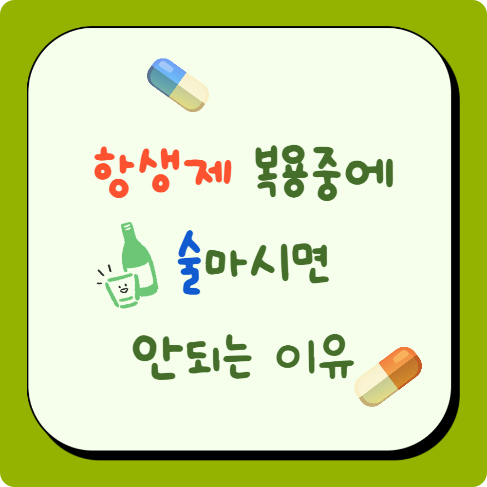 항생제 복용 중에 술을 마시면 안 되는 이유