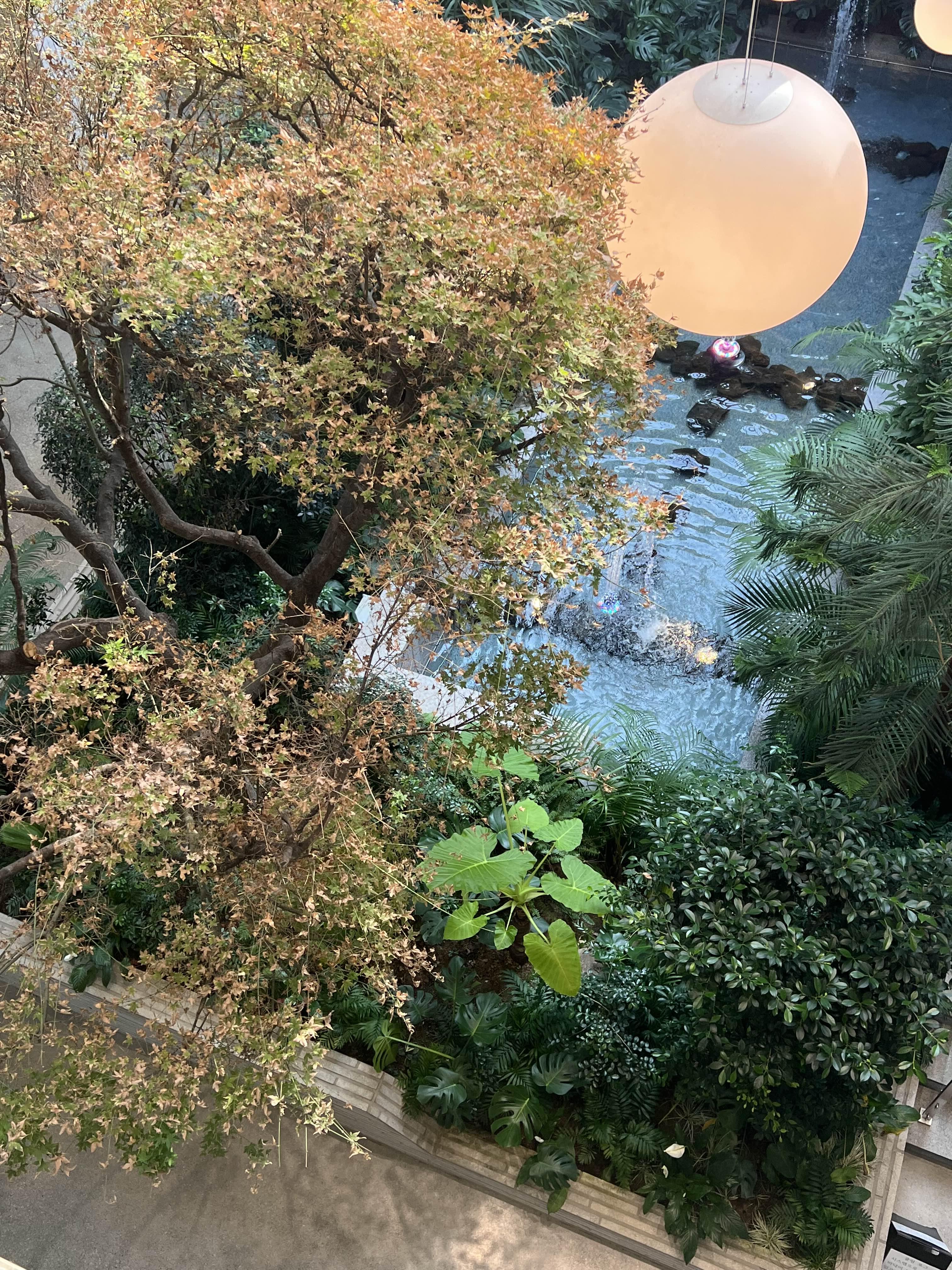 파주 분수 있는 카페 앤드테라스