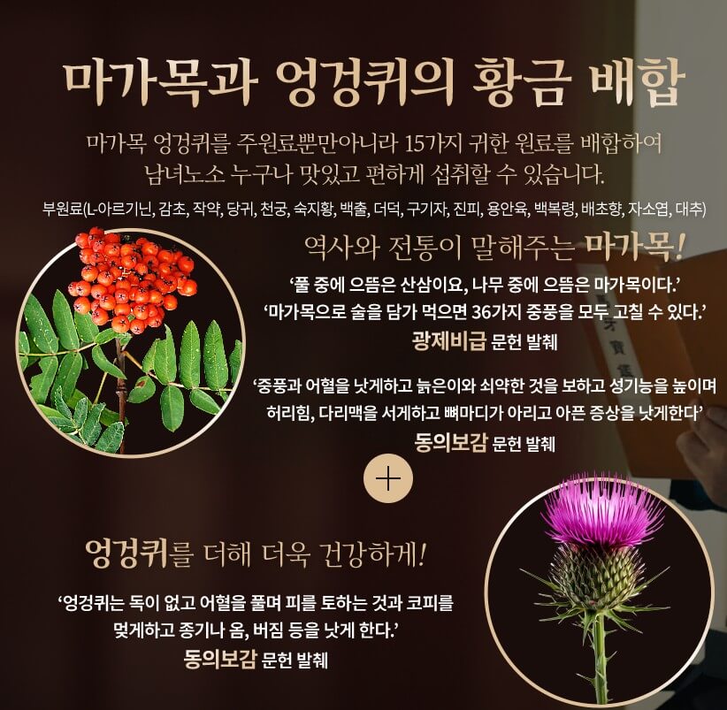 마가목-열매-사진과-그에-대한-자세한-설명이-있는사진입니다.