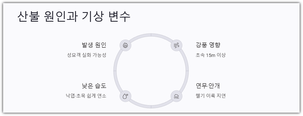 산불 원인과 기상 변수