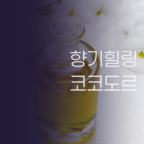 향기로 완성하는 힐링 라이프 코코도르..