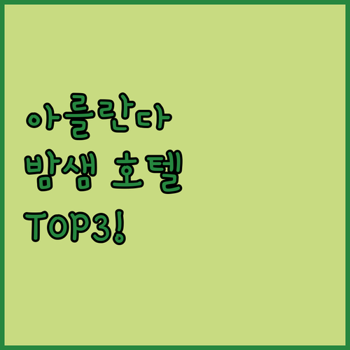 스톡홀름 아를란다 공항에서 밤샘 고민..