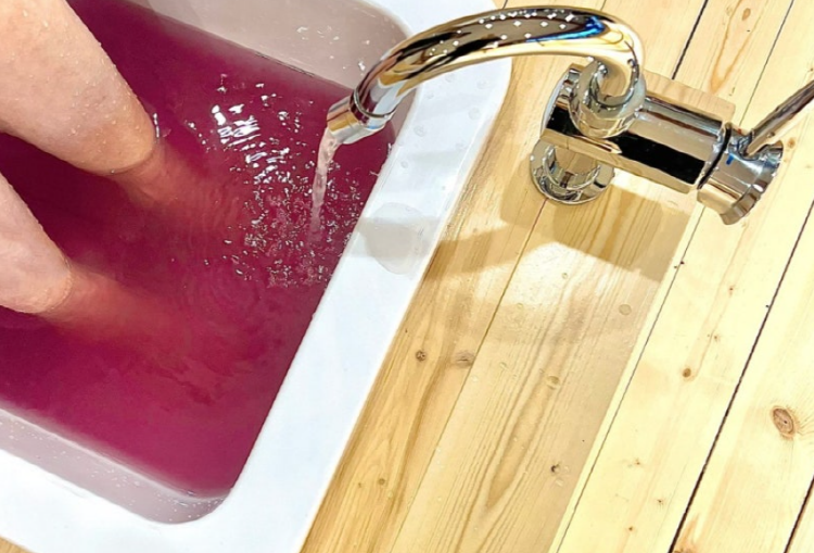 산들소리 수목원