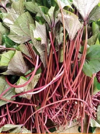 고구마순 볶음 레시피 꿀팁 레시피_10