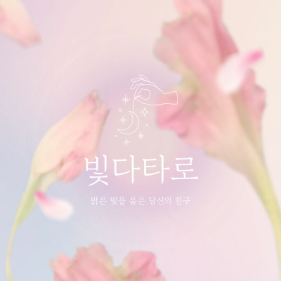 타로 운세