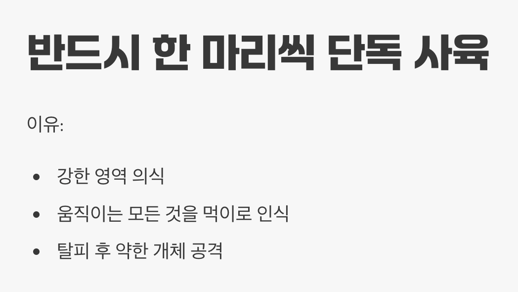 동족포식의 위험&amp;#44; 합사는 금물