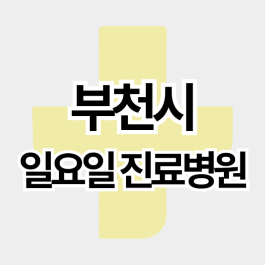 부천시_일요일진료병원_썸네일