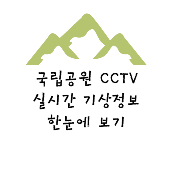 국립공원cctv