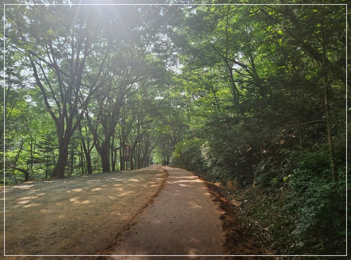 대전 가볼만한곳 베스트10 계족산 황토길