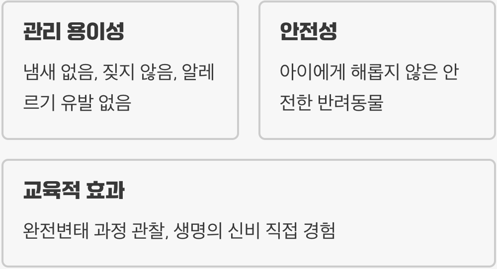 왜 '딱정벌레'가 최고의 첫 친구일까?