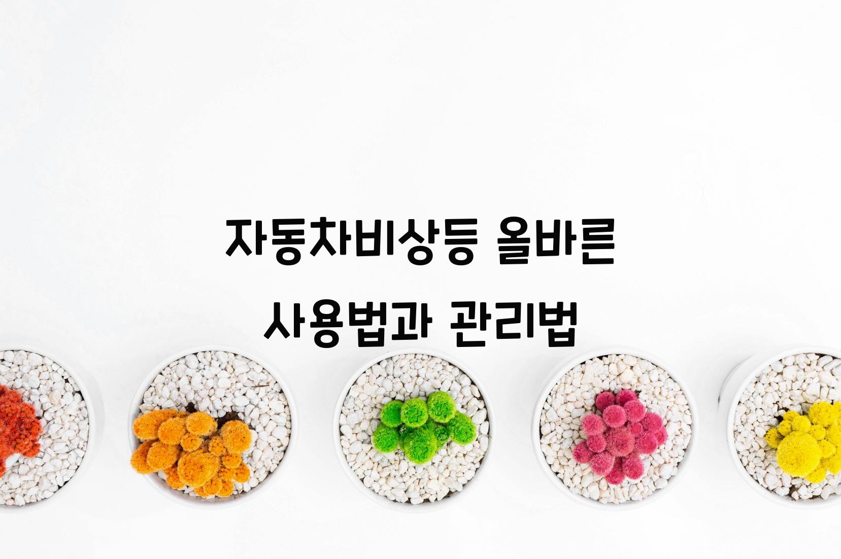 자동차비상등