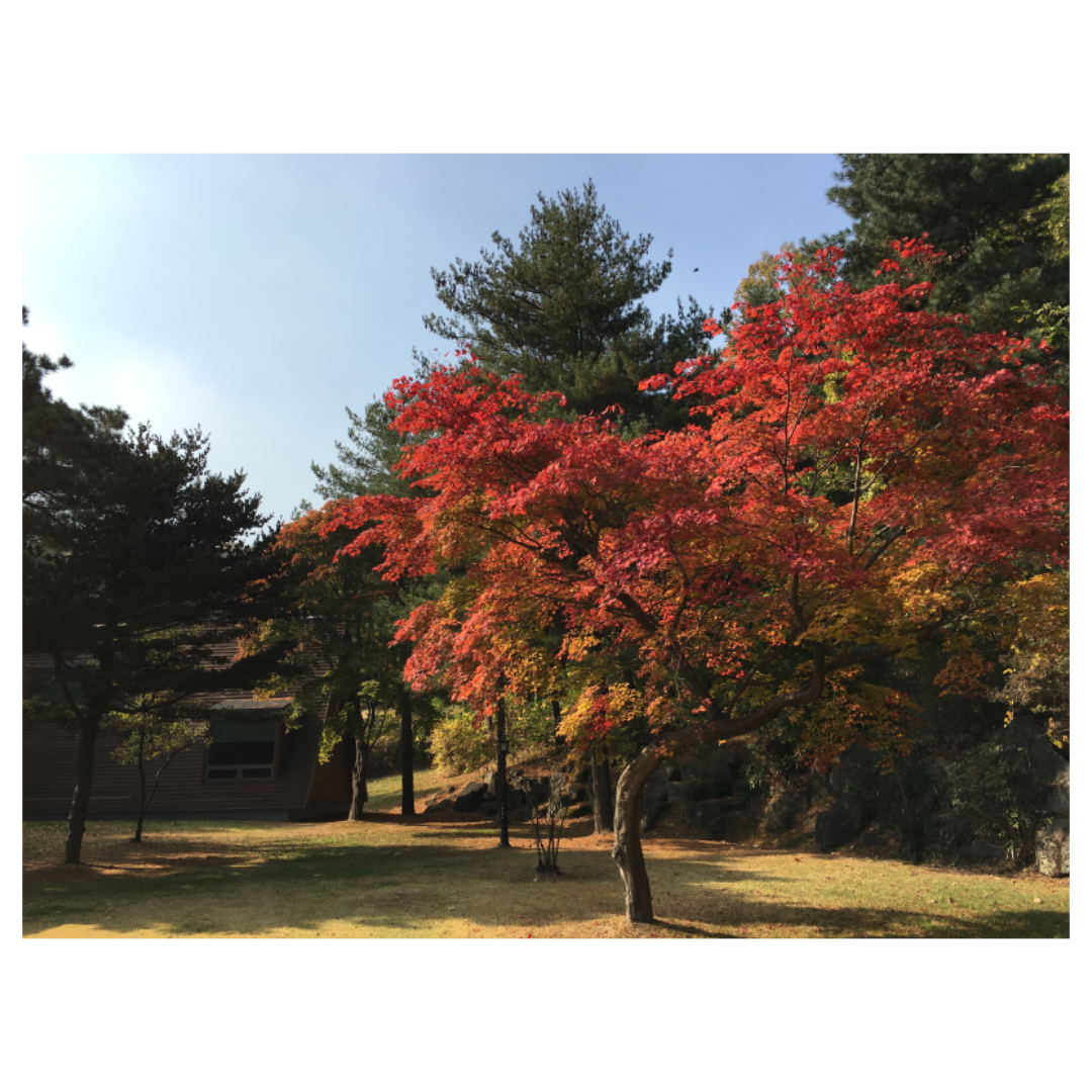 여주와 관련된 사진입니다.