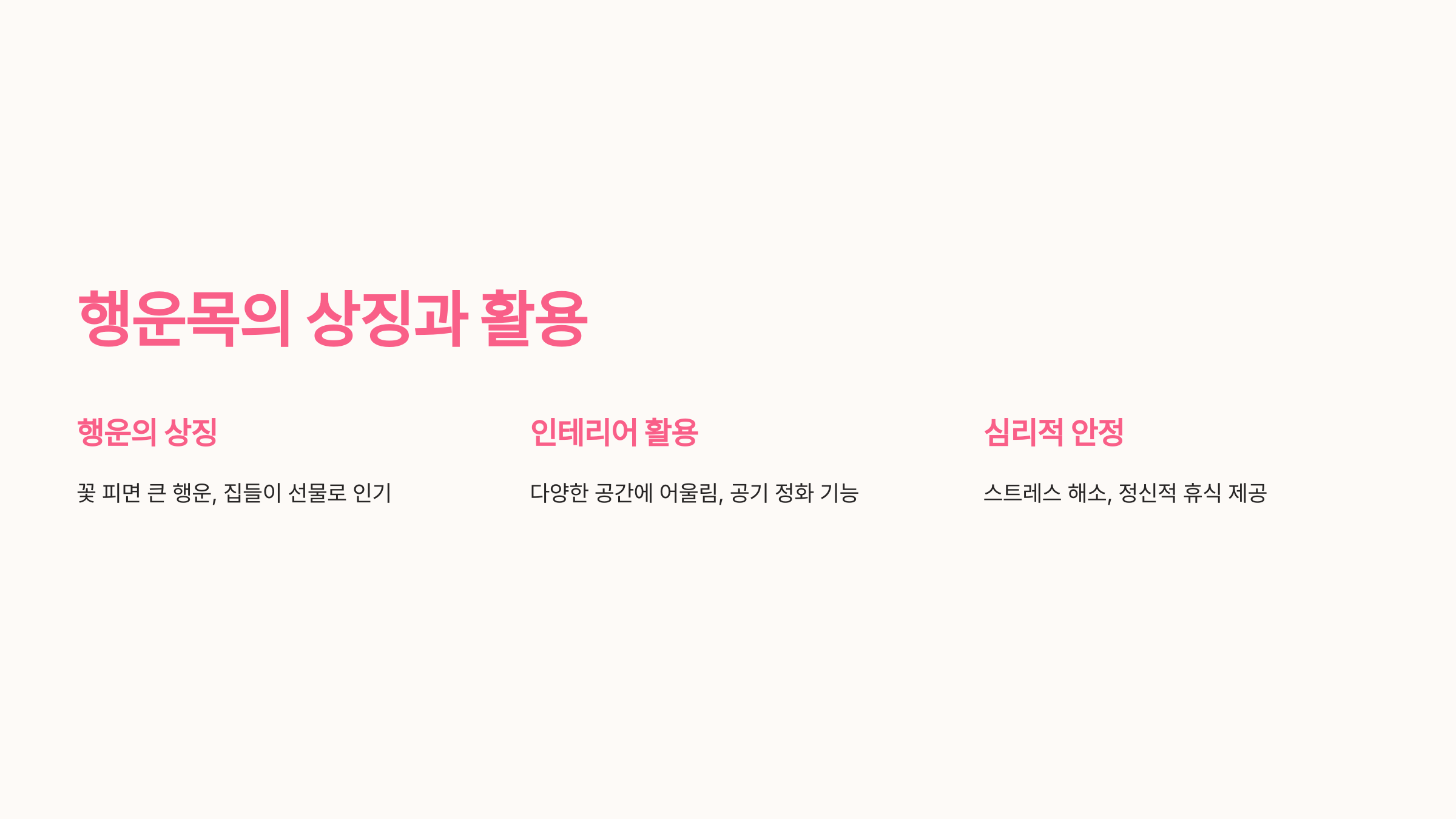 행운목의 상징과 활용