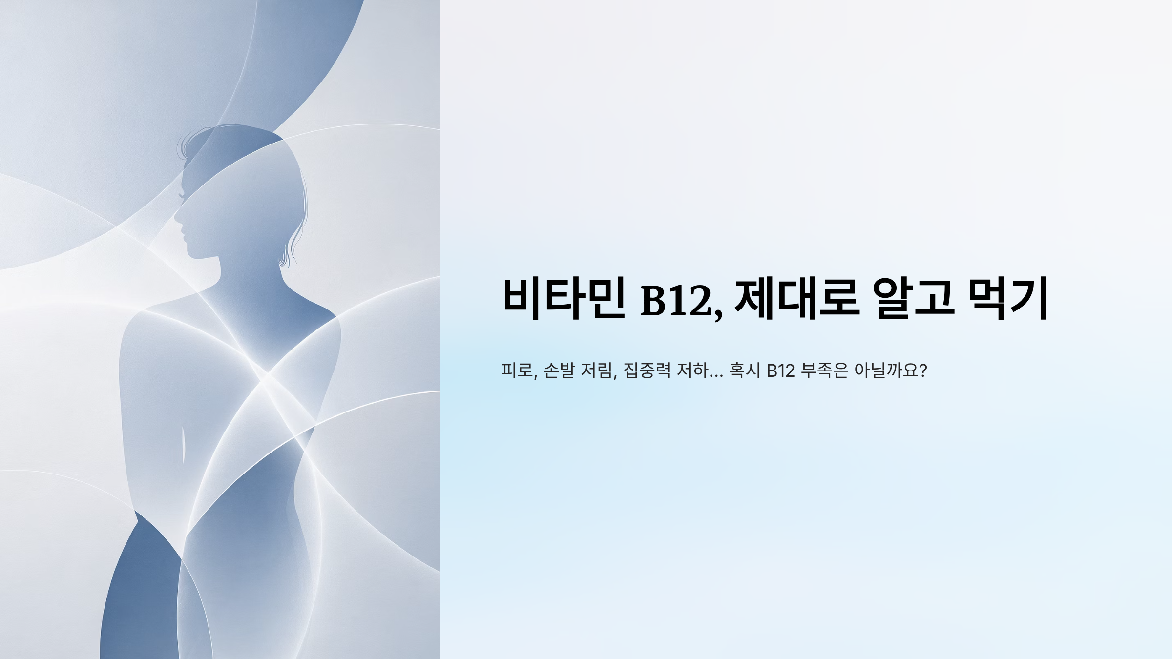 비타민 B12가 많은 음식