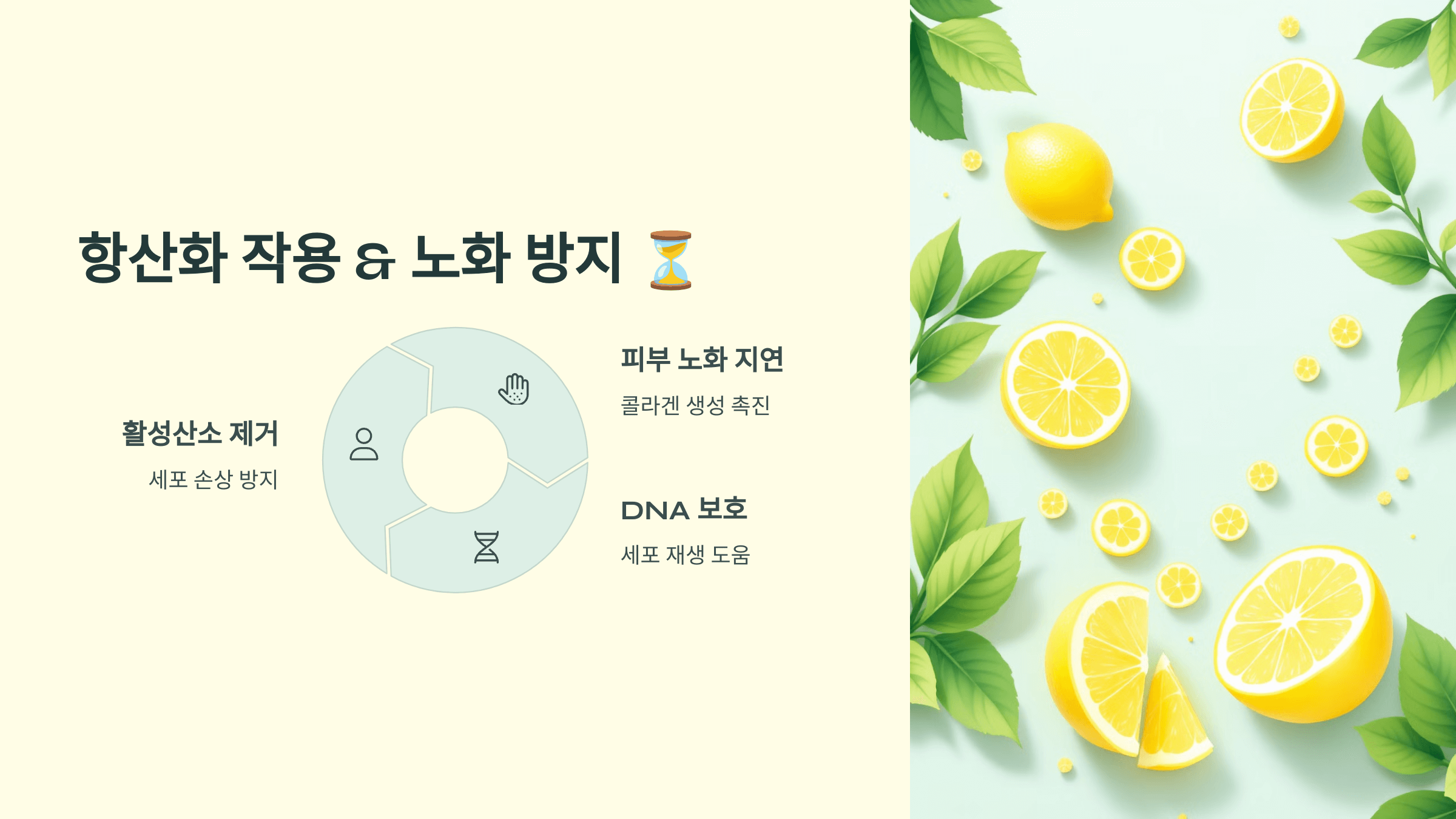 레몬즙 사진입니다.