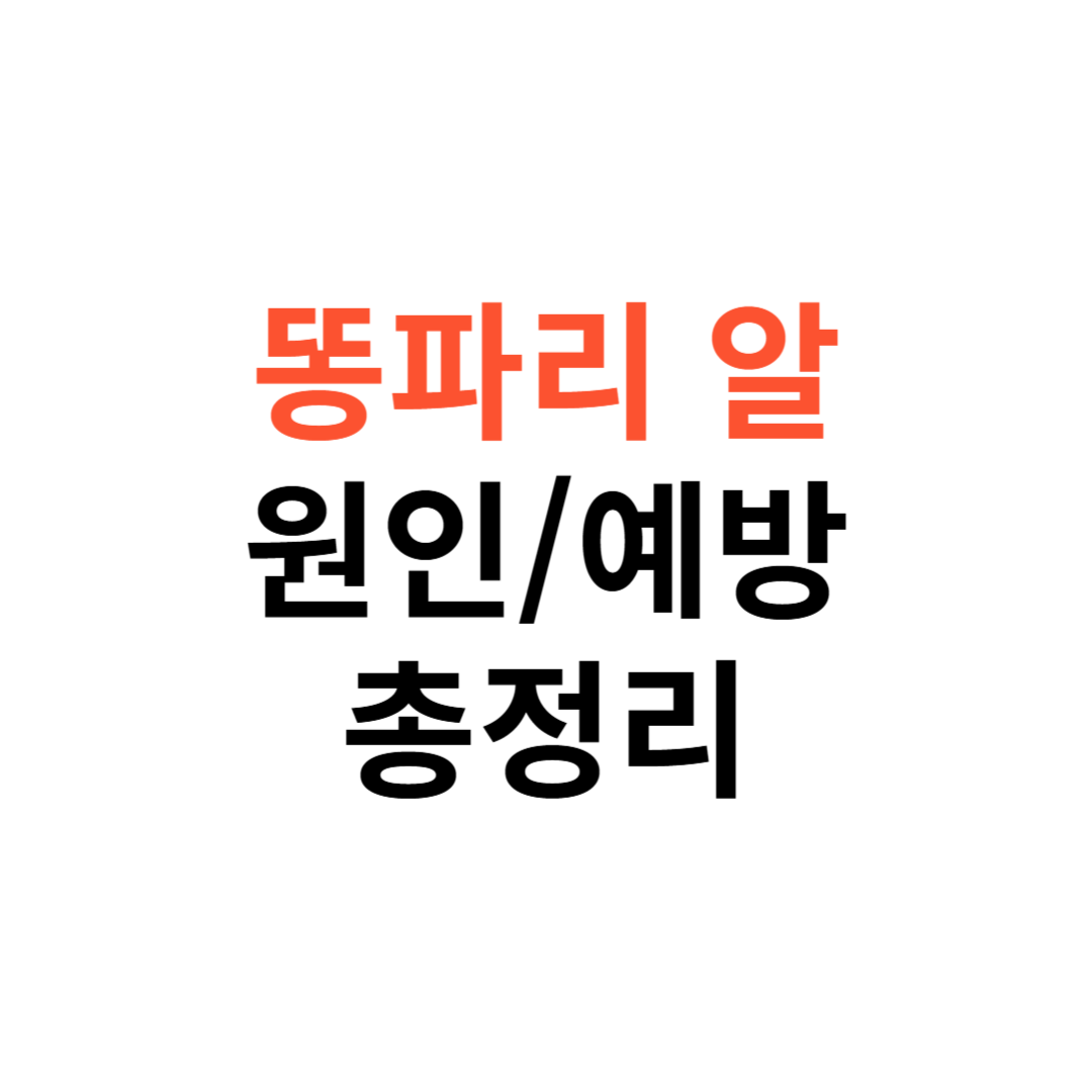 똥파리 알