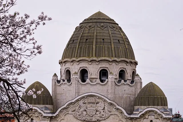 자라섬 꽃 페스타 2025 행사일정 관람 포인트 완전 정리_2