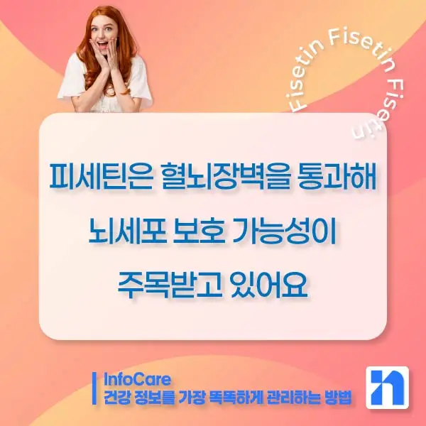 피세틴 효능 항산화 저속노화 노화방지 세놀리틱