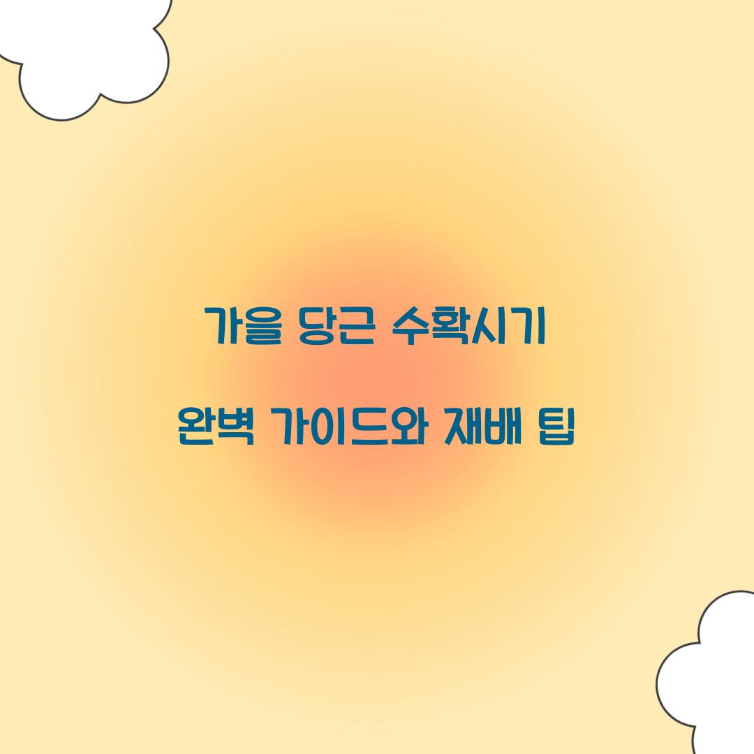 가을 당근 수확시기