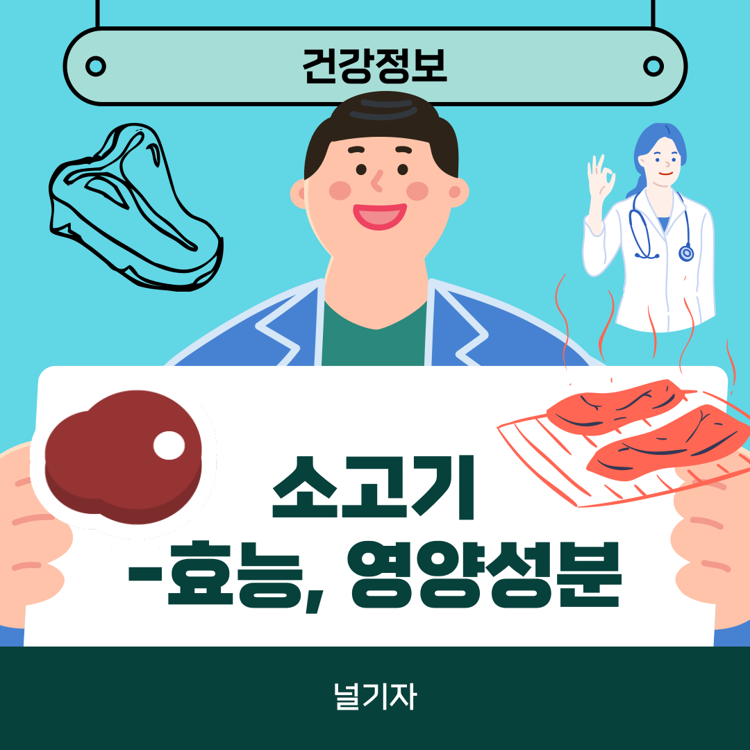 소고기 효능, 소고기 영양성분