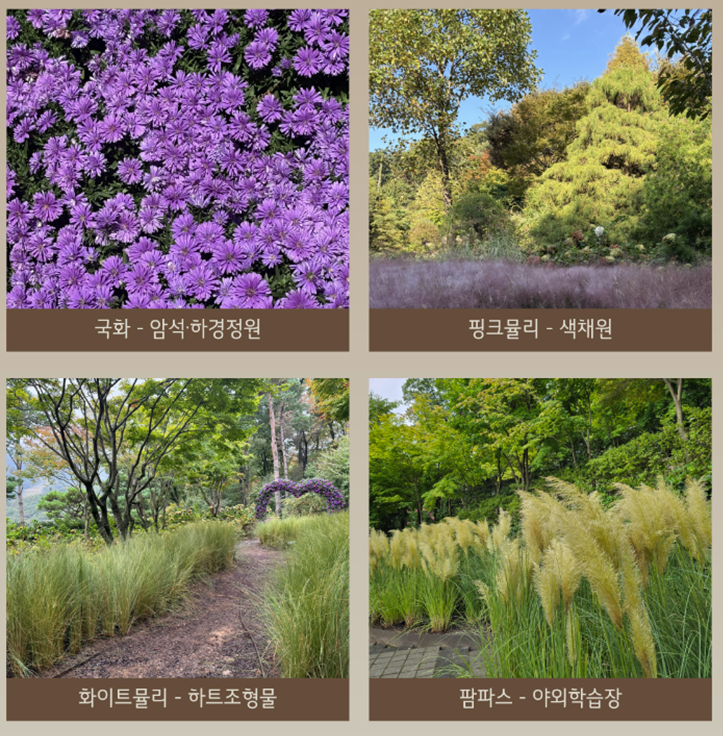 화담숲 예약, 화담숲, 화담숲 홈페이지, 화담숲 온라인 예약, 화담숲 모노레일, 화담숲 프로그램, 화담숲 예약하기, 화담숲 예약 성공