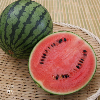 수박씨 먹어도 되나요