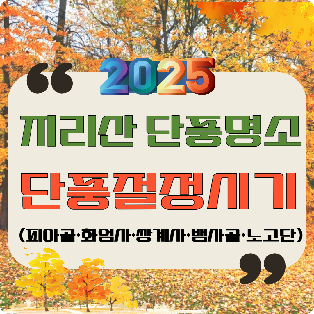 2025 지리산 단풍명소 &amp; 단풍절정시기 이미지