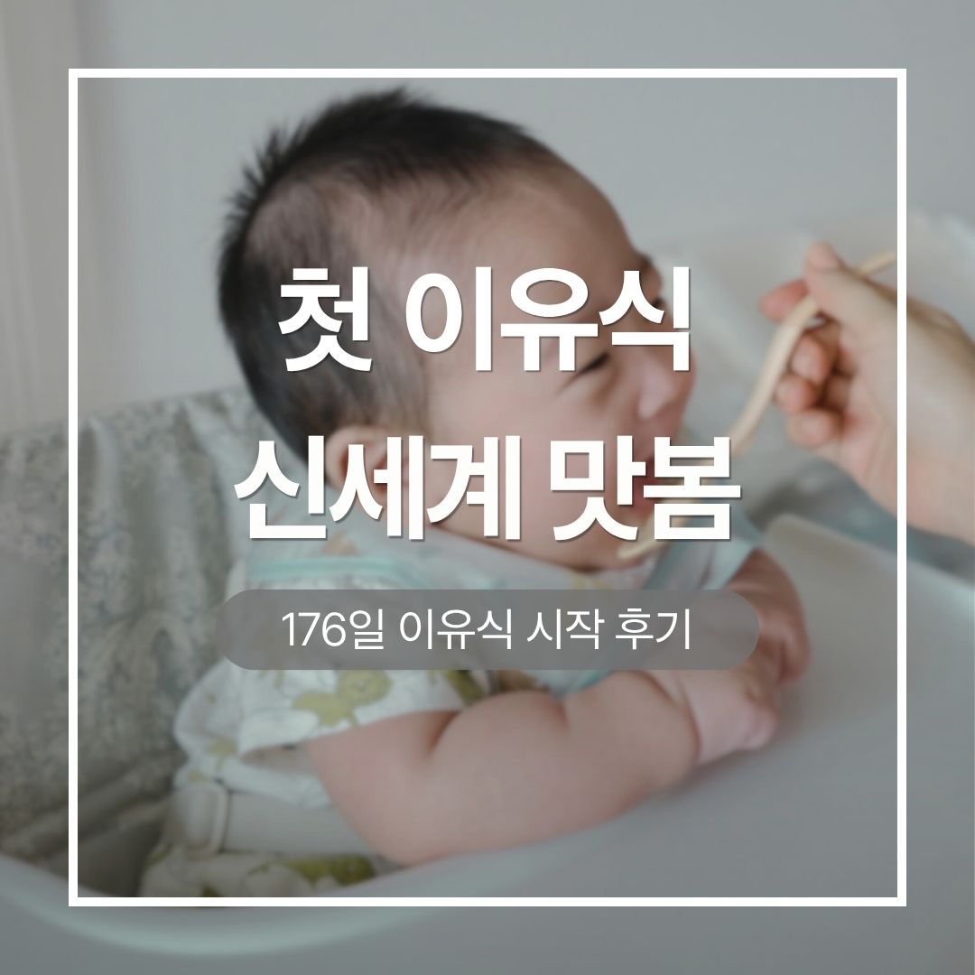 초기 이유식 1단계 쌀미음 성공 후기 - 생후 176일 아기 첫 이유식 먹는 모습