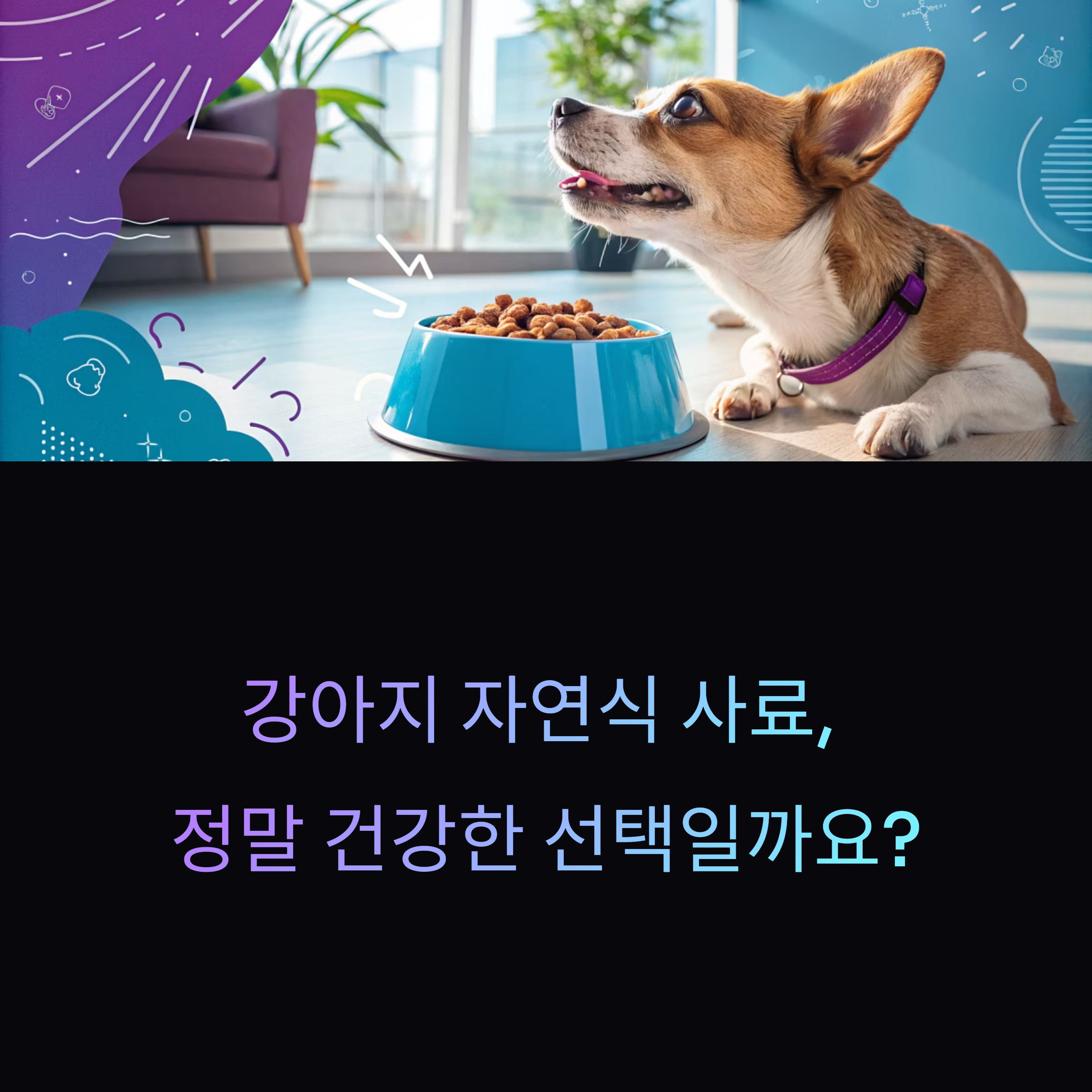 강아지 자연식 사료, 정말 건강한 선택일까요?