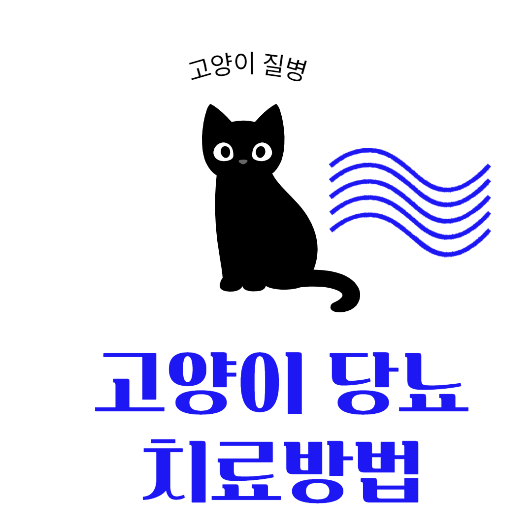 고양이-당뇨-예방-치료-썸네일