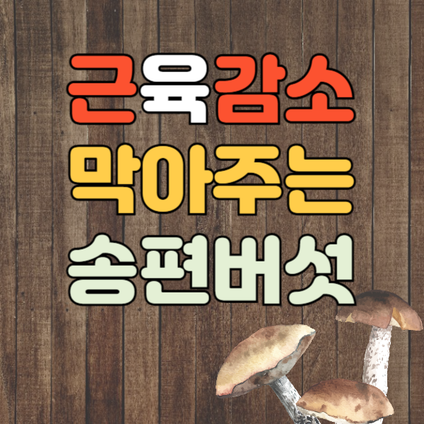 송편버섯