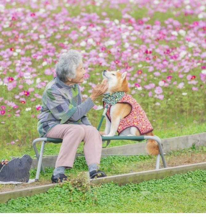 일본 사진작가의 특별한 유대감 Photographer Captures a Heartwarming Moment Between His Grandmother and Her Dog