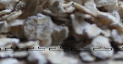 귀리 효능과 부작용