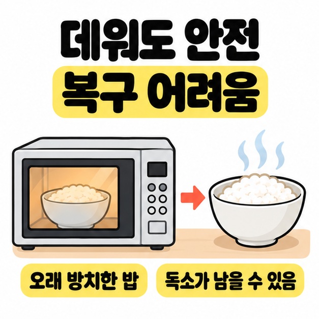 오래 방치한 밥을 전자레인지에 데운 뒤 김이 나는 밥으로 화살표가 이어지며 독소가 남을 수 있음을 안내한 그림