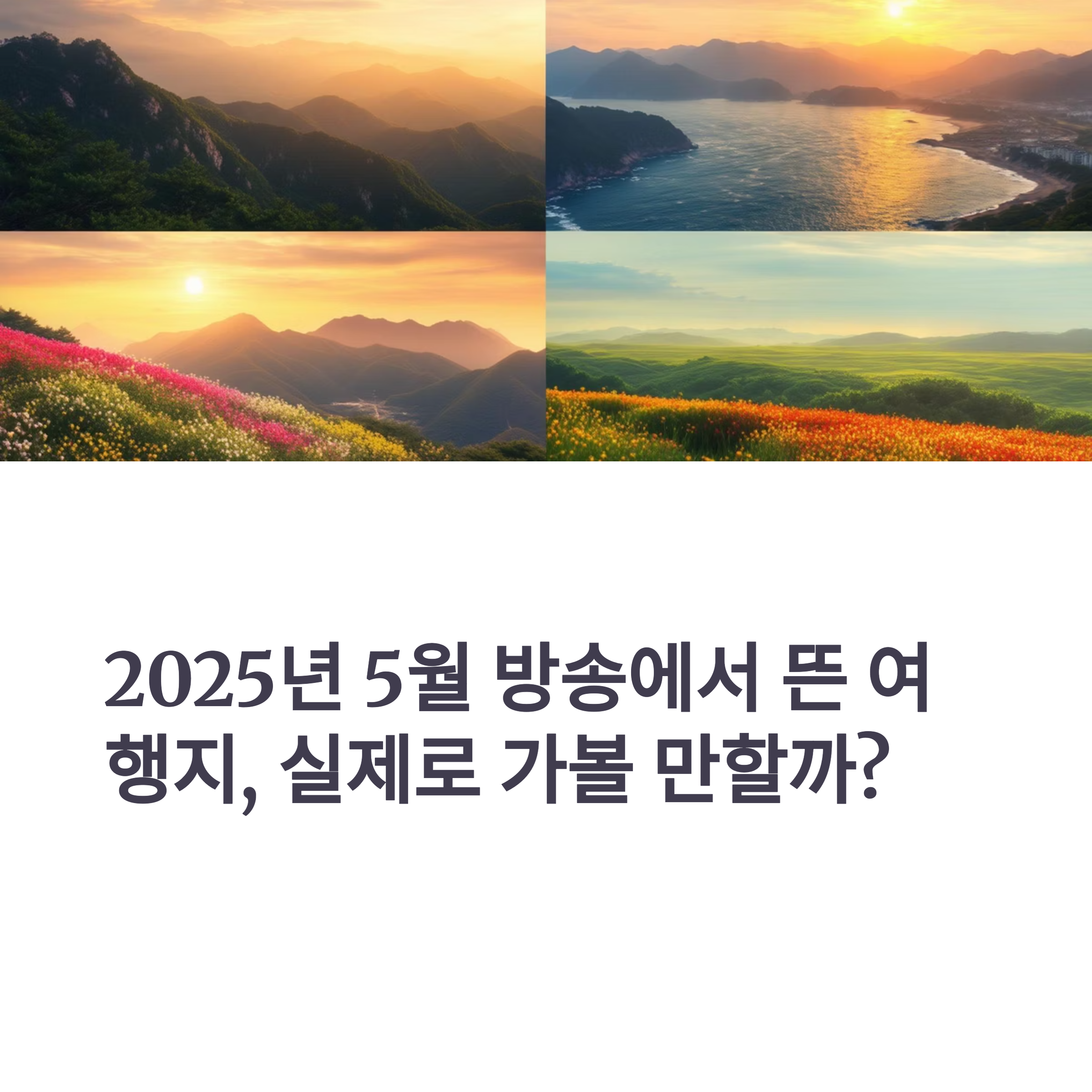 2025년 5월 방송에 소개된 국내 여행지, 진짜 후기 모음