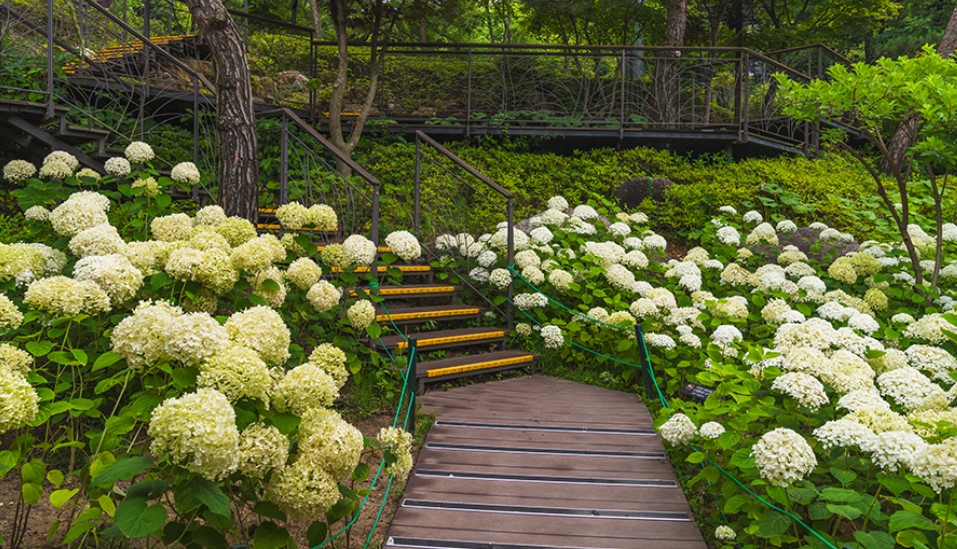 화담숲 예약하기