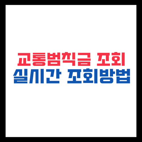 교통범칙금 조회 실시간