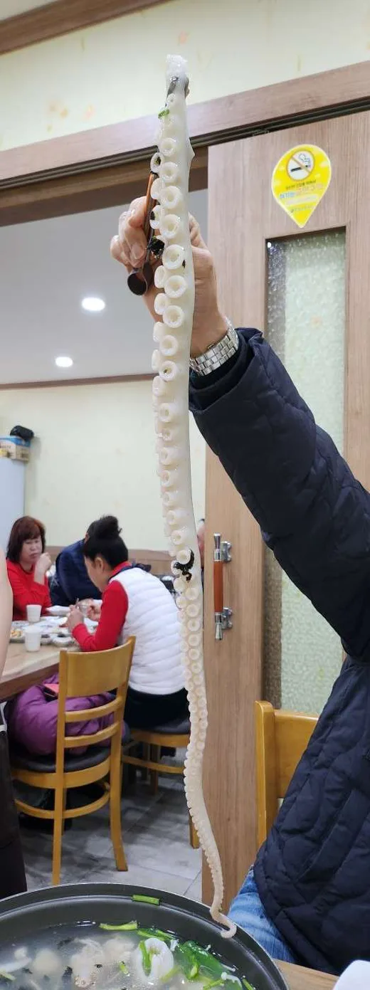 나비의꿈