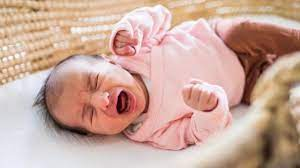 하니 대전 프로젝트