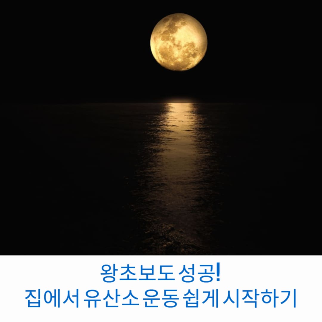 왕초보도-성공-집에서-유산소-운동-쉽게-시작하기-썸네일
