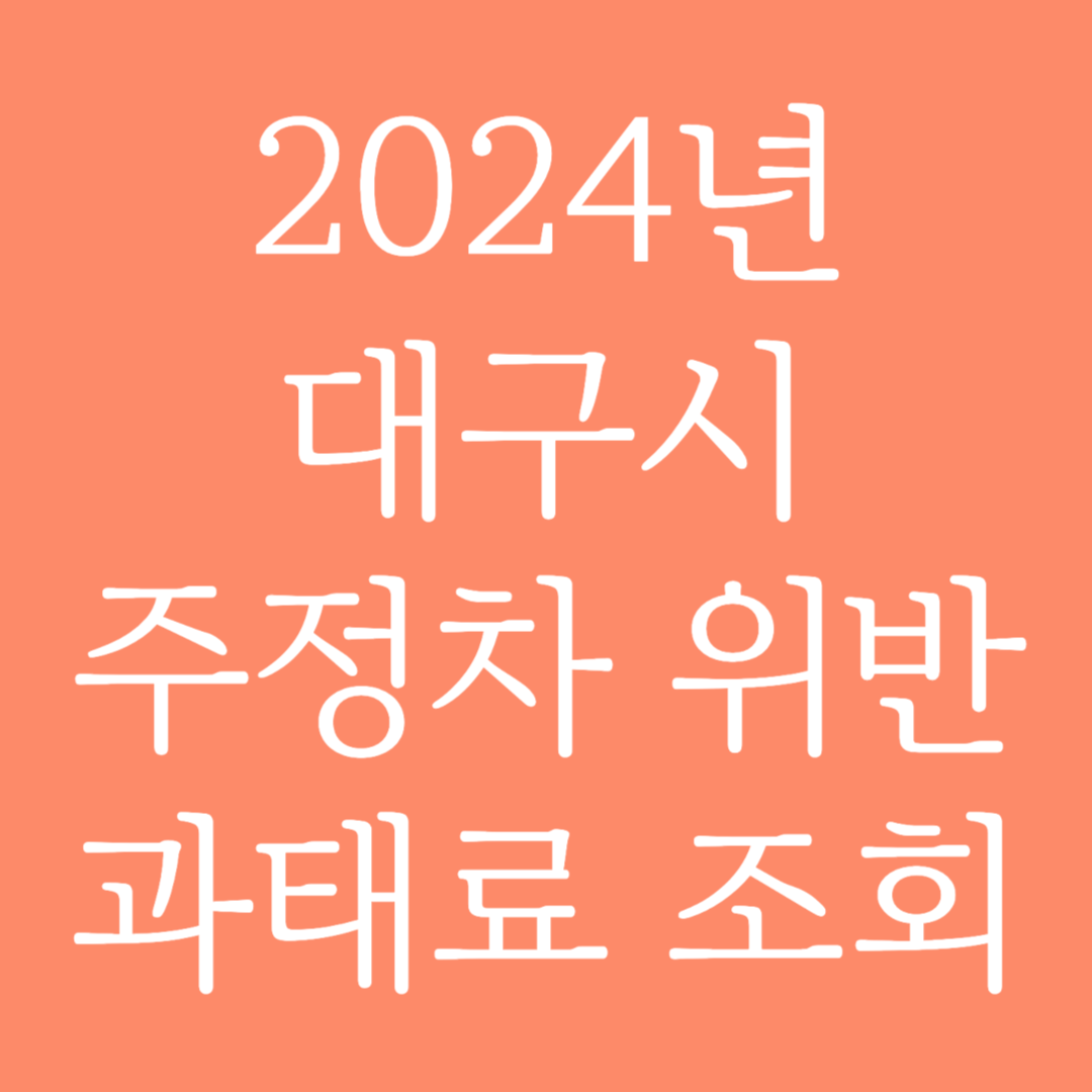 2024년 대구시 주정차 위반 과태료 조회하기