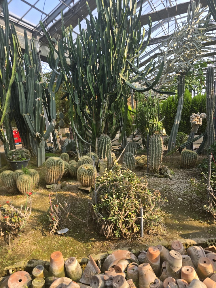 세계꽃식물원(LIAF)