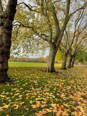 영국 런던 11월 날씨와 옷차림 안내_21