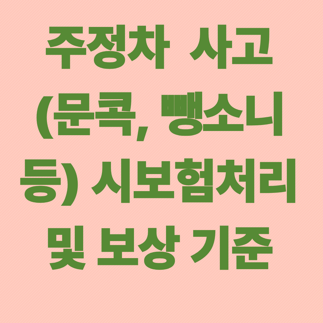 주정차&nbsp; 사고(문콕, 뺑소니 등) 시보험처리 및 보상 기준
