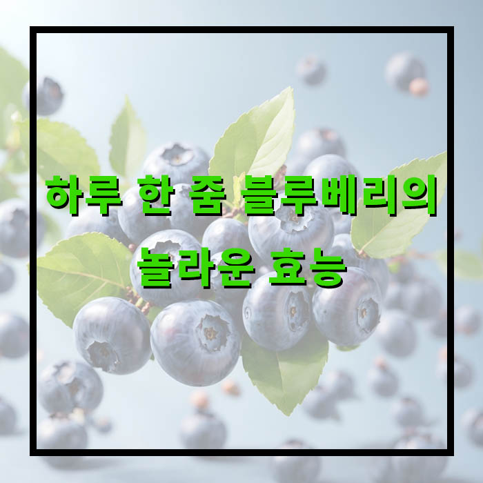 블루베리 효능, 하루 섭취량, 먹는 법