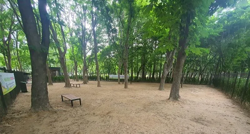 매헌시민의숲 반려견 놀이터