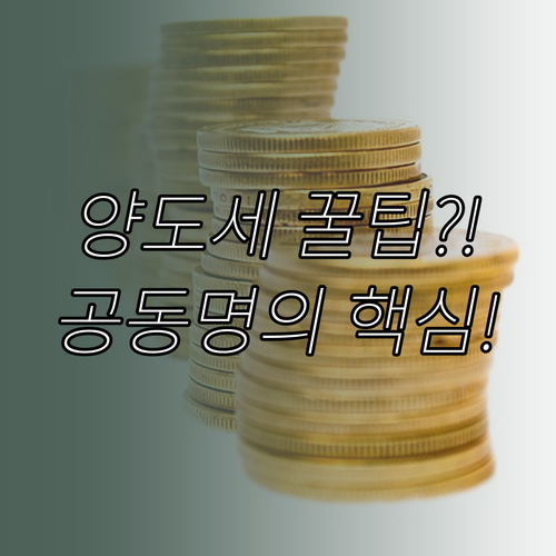 양도소득세 부부 공동명의가 유리한 이..