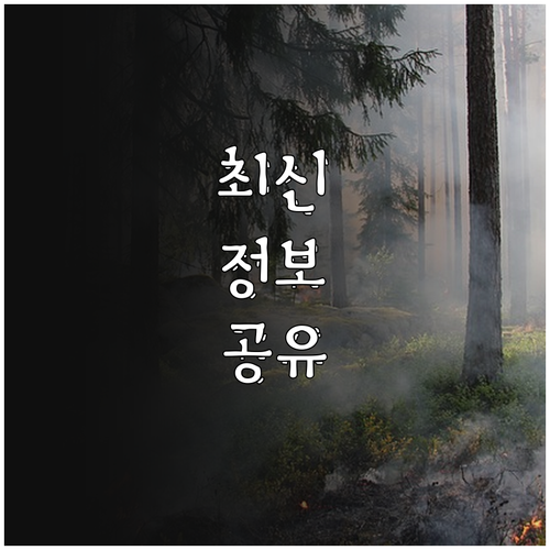 교통사고 합의금 결정 핵심 과실 비율