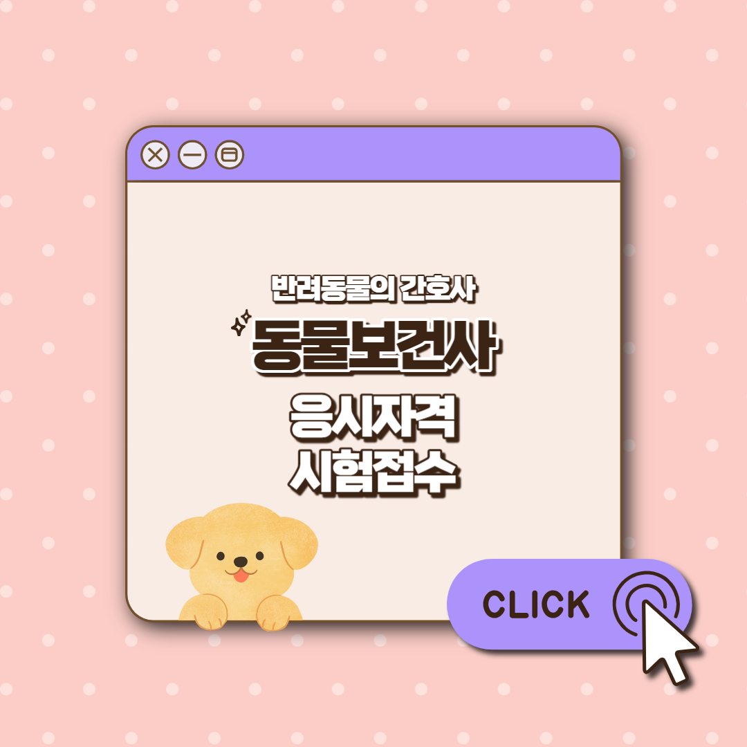 동물보건사 섬네일